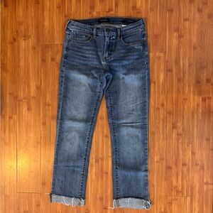 Women’s Banana Republic Classic Blue Denim Jeans
